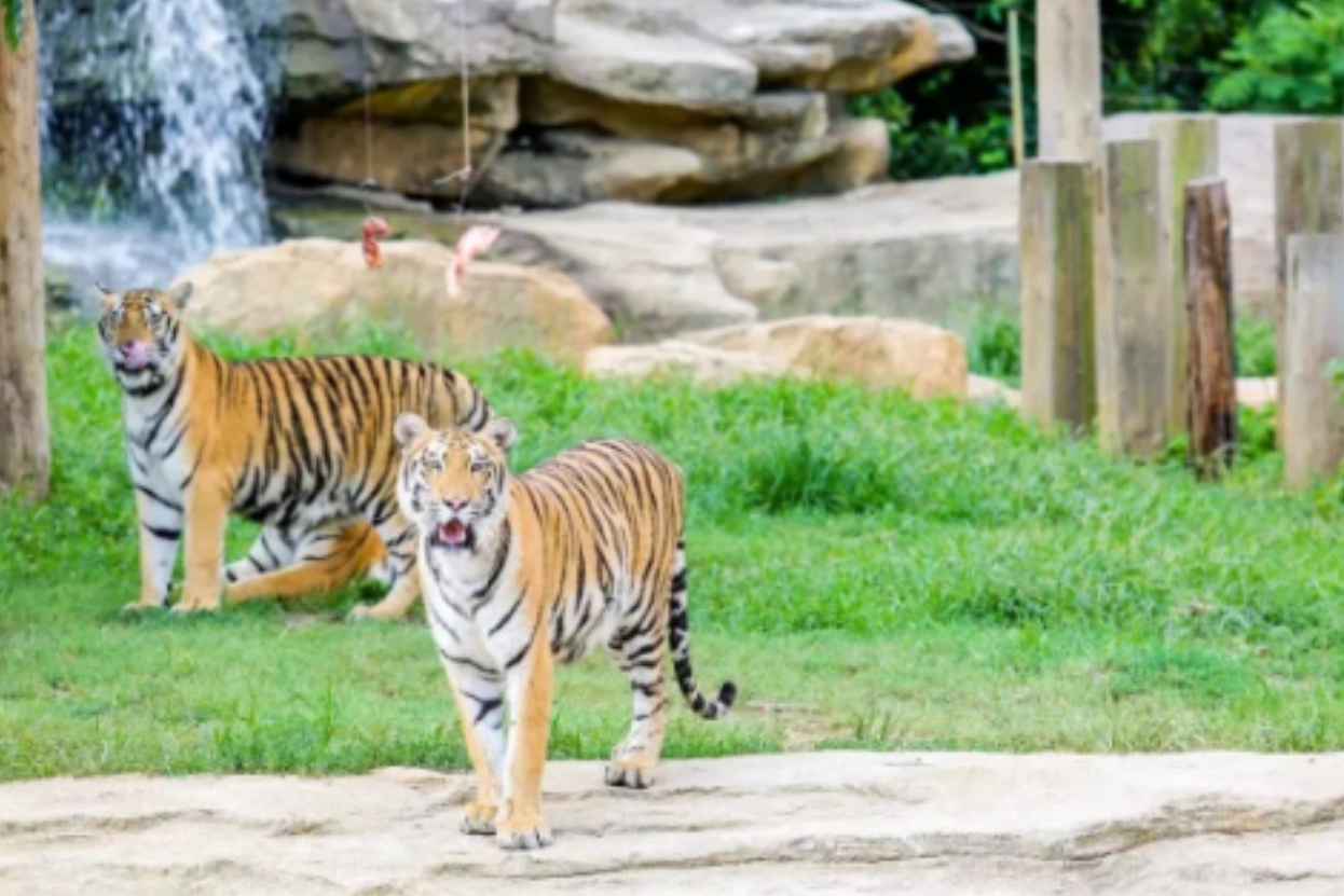Yan Cheng Wildlife World